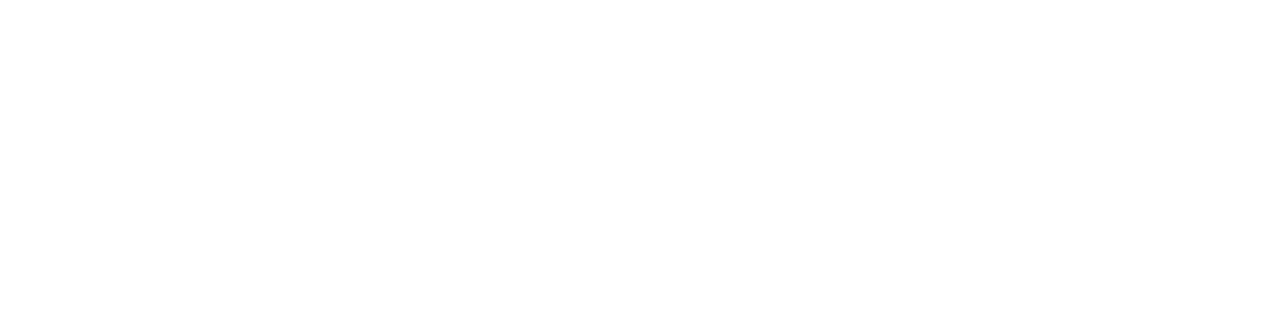 Wild Dice Casino Logo